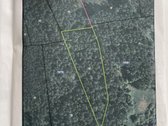 Parduodamas 5.5ha žemės sklypas, 3.7ha yra - nuotraukos Nr. 3