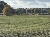 Netoli Kauno parduodamas 5,96 ha žemės ūkio