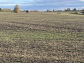Netoli Kauno parduodamas 5,96 ha žemės ūkio - nuotraukos Nr. 5