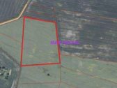 Netoli Kauno parduodamas 5,96 ha žemės ūkio - nuotraukos Nr. 2