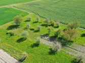 Parduodama sodyba Pasvalio raj. Šimonių k. - nuotraukos Nr. 17