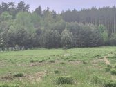 Išskirtinėje Vietoje, Pušyno Apsuptyje, - nuotraukos Nr. 18