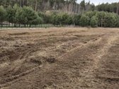 Išskirtinėje Vietoje, Pušyno Apsuptyje, - nuotraukos Nr. 23