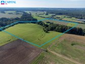 Autentiška sodyba su 15 ha žemės Nemuno kilpų - nuotraukos Nr. 3