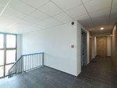 Nuomuojamas Naujas 2025 Metu Šviesus Butas Su - nuotraukos Nr. 18