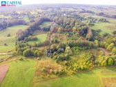 Parduodamas 3 Hektarų Sklypas Rokiškio Rajone - nuotraukos Nr. 2