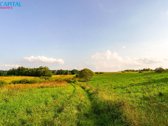 Parduodamas 3 Hektarų Sklypas Rokiškio Rajone - nuotraukos Nr. 8