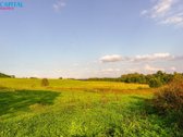Parduodamas 3 Hektarų Sklypas Rokiškio Rajone - nuotraukos Nr. 9