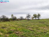 Parduodamas 3 Hektarų Sklypas Rokiškio Rajone - nuotraukos Nr. 17