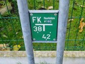 _ - nuotraukos Nr. 21