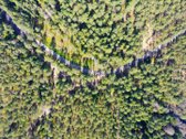 Parduodamas žemės sklypas 519 a ploto, visai - nuotraukos Nr. 10