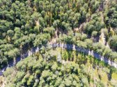 Parduodamas žemės sklypas 519 a ploto, visai - nuotraukos Nr. 12