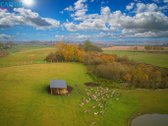 Parduodamas 8,91 ha Sklypas Su ~100 Danielių, - nuotraukos Nr. 2