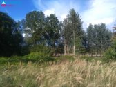 Ramioje vietoje tarp miškų, parduodamas