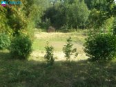 Ramioje vietoje tarp miškų, parduodamas - nuotraukos Nr. 3