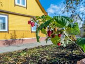 Parduodama Tvarkinga Namo Dalis Su 4 Arais Ir - nuotraukos Nr. 3