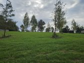 Parduodamas 79 arų žemės sklypas ant Žieždro - nuotraukos Nr. 10