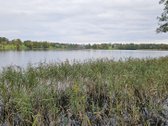 Parduodamas 79 arų žemės sklypas ant Žieždro - nuotraukos Nr. 3