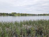 Parduodamas 79 arų žemės sklypas ant Žieždro