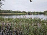 Parduodamas 79 arų žemės sklypas ant Žieždro - nuotraukos Nr. 2