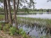 Parduodamas 79 arų žemės sklypas ant Žieždro - nuotraukos Nr. 4