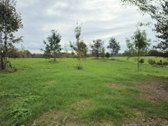 Parduodamas 79 arų žemės sklypas ant Žieždro - nuotraukos Nr. 12