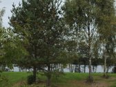 Parduodamas 79 arų žemės sklypas ant Žieždro - nuotraukos Nr. 7