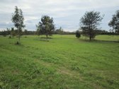 Parduodamas 79 arų žemės sklypas ant Žieždro - nuotraukos Nr. 13