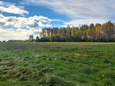 Parduodamas žemės ūkio paskirties sklypas - nuotraukos Nr. 2