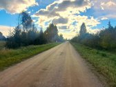 Parduodamas žemės ūkio paskirties sklypas - nuotraukos Nr. 3