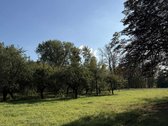 Parduodami Sklypai Paežeriuose , Vilkaviškio - nuotraukos Nr. 4