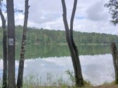 Išskirtinis Sklypas Prie Ilgio Ežero – - nuotraukos Nr. 3