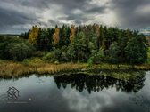 Prie Lazdininkų Tvenkinio Parduodamas 2.94 Ha - nuotraukos Nr. 14