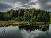 Prie Lazdininkų Tvenkinio Parduodamas 2.94 Ha - nuotraukos Nr. 15