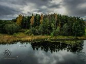 Prie Lazdininkų Tvenkinio Parduodamas 2.94 Ha - nuotraukos Nr. 16