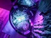 Privati Jacuzzi Su Kinoteatru/parkavimo Vieta - nuotraukos Nr. 4