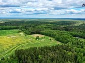 Parduodamas Erdvus 27 Arų Sklypas Šalia Miško - nuotraukos Nr. 14