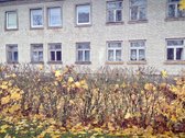 Parduodamas butas yra Tauragės r. - nuotraukos Nr. 2