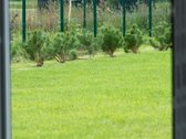 Karklė. Čia susitinka du pasauliai – kurorto - nuotraukos Nr. 21