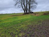 Parduodamas didelis žemės ūkio paskirties - nuotraukos Nr. 7