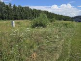 Parduodamas erdvus 35 arų namų valdos sklypas - nuotraukos Nr. 5