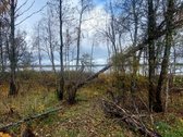Parduodama sodyba miško apsuptyje, kuri turi - nuotraukos Nr. 14