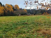Parduodama sodyba miško apsuptyje, kuri turi - nuotraukos Nr. 11