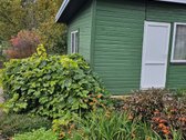 Parduodamas sodo sklypas, besirybojantis su - nuotraukos Nr. 2