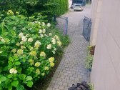 Tai gali būti jūsų vasaros namai ! - nuotraukos Nr. 48