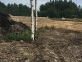 Parduodamas sklypas su pagal projektą iškastu - nuotraukos Nr. 5