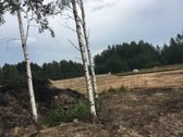 Parduodamas sklypas su pagal projektą iškastu - nuotraukos Nr. 7
