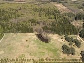 Parduodami 8,17 ha sklypai Kuniginės kaime su - nuotraukos Nr. 6