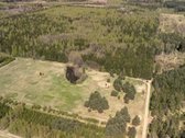 Parduodami 8,17 ha sklypai Kuniginės kaime su - nuotraukos Nr. 9