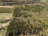 Parduodami 8,17 ha sklypai Kuniginės kaime su - nuotraukos Nr. 12